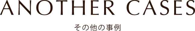 ANOTHER CASES その他の事例